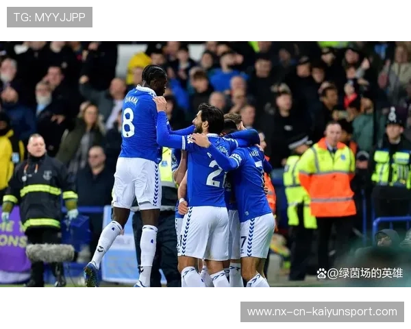 埃弗顿锋线疲软，保级危机，埃弗顿伤病情况